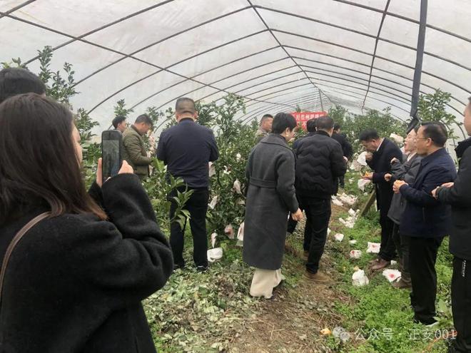 正安、仁怀“双城记”：打通区域合作“任督二脉”→(图2)