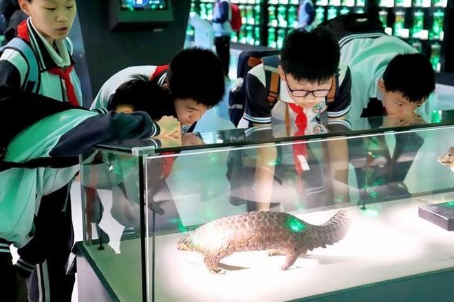 贵州中医药大学与贵阳市第二实验小学开展“寻药贵州”研学活动(图2)